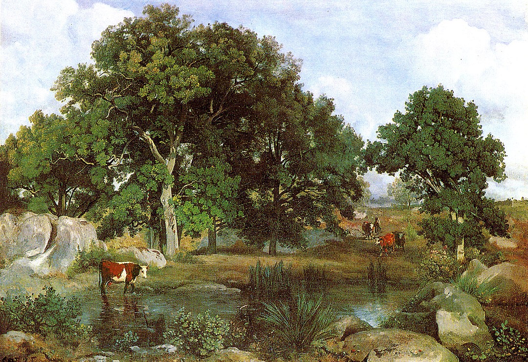 foret_fontainebleau.JPG
