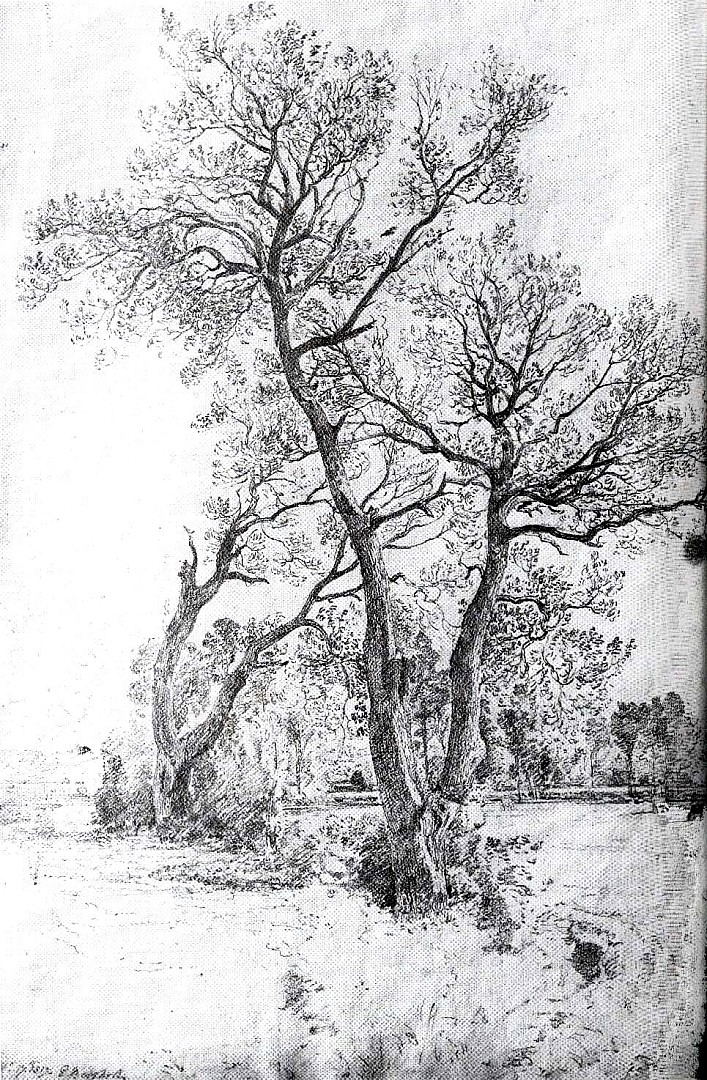 constable_arbre_flatford.JPG