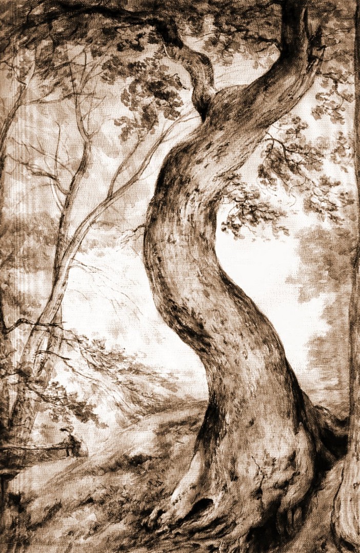 constable_arbre_helmingham.JPG