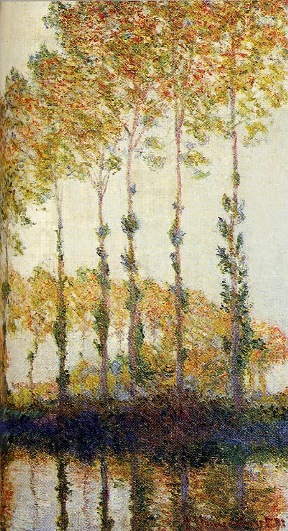 peupliers_au_bord_de_lepte_automne.JPG